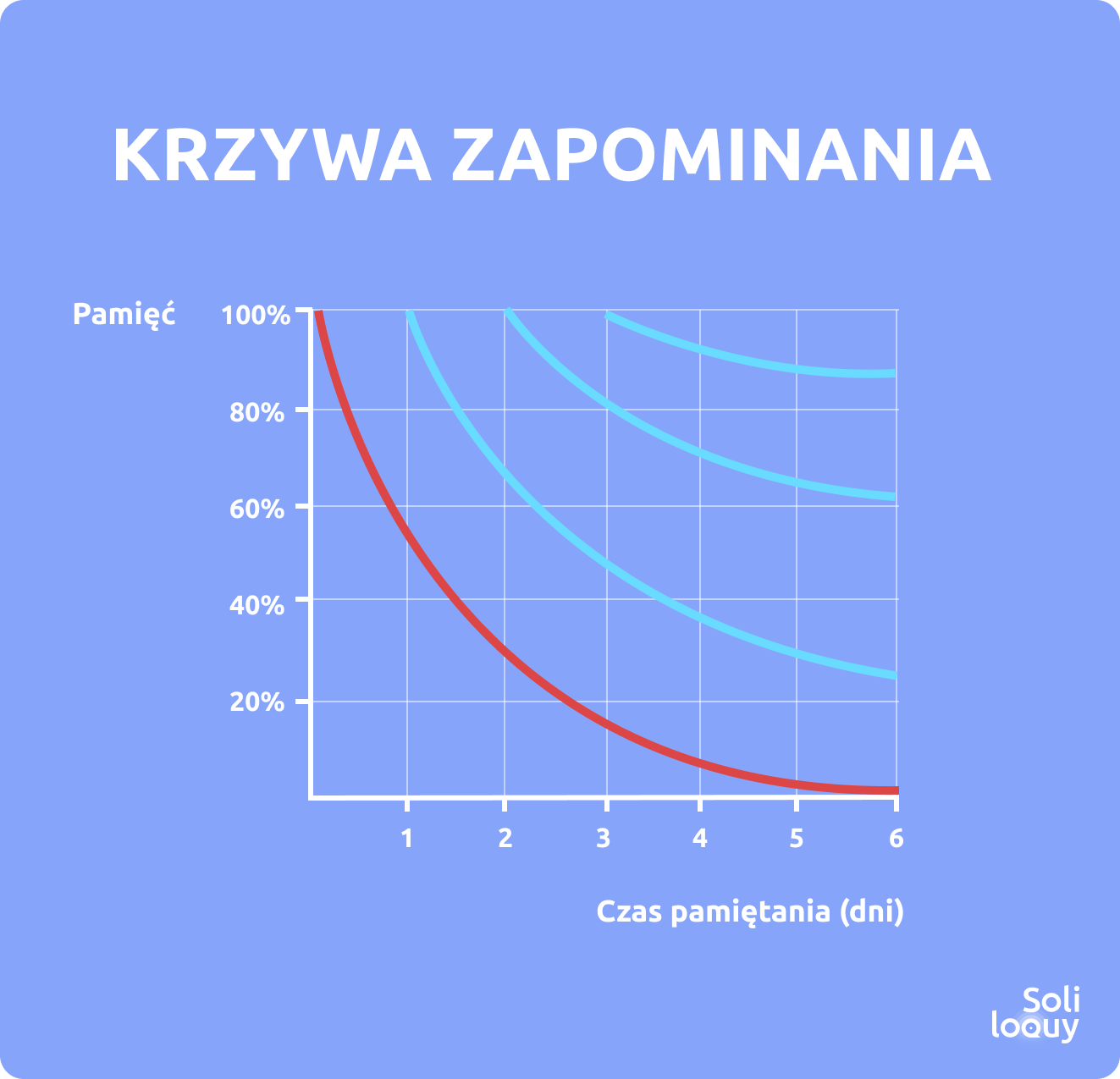 Krzywa Zapominania